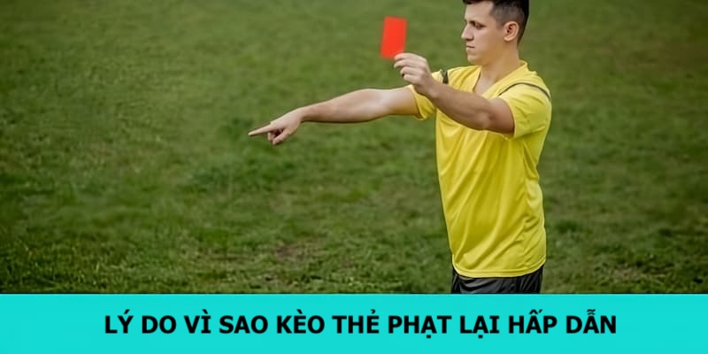 Lý do vì sao cược thẻ phạt lại nhận được nhiều sự ủng hộ 